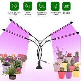 Grow Lights LED Grow Light USB Phyto Lamp Full Spectrum Fitolampy With Control For Plant Seedling Flower Indoor Fitolamp Grow Box Fleshiness YQ230926