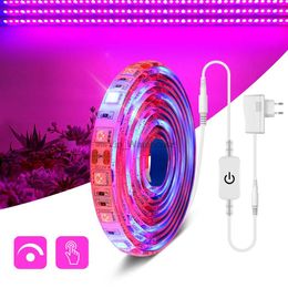 Grow Lights 5M LED Phyto Lamp Full Spectrum LED Strip Plant Light Dimmable Touch Switch LED Fitolampy Grow Lights For Greenhouse Hydroponic YQ230926