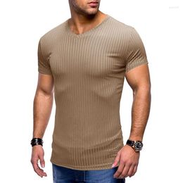 Men's T Shirts Summer V-neck Short Sleeve T-shirts Men Casual Striped Slim Fit Sports Quick Dry Tops Tees For Leisure Streetwear Tee Shirt