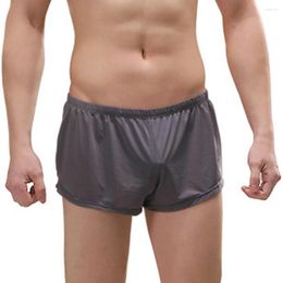 Underpants Men Sexy Ice Silk Boxer Briefs Pouch Underwear Shorts Trunks Penis Bulge Scrotum Panties