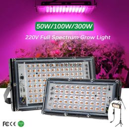 Grow Lights NEARCAM full-spectrum LED plant growth lamp seedling planting growth lamp flower and grass plant fill light potted fill light YQ230926 YQ230926