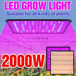 Grow Lights Growth Light LED Full Spectrum Phyto Veg Lamp 220V Plant Grow Panel Lamp LED Hydroponics Flower Growing Tent Box 2000W Fitolampy YQ230927