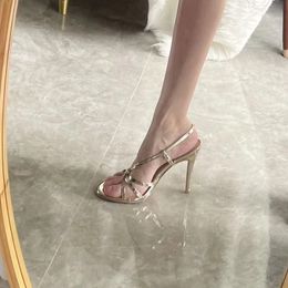 Ladies Heels Sexy Summer Trendy Sandals Ladies Luxury Designer Stiletto Pumps