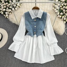 Casual Dresses Irregular Breasted Denim Shirt Two-piece Single-breasted Bubble Long-sleeved Waist A-line Dress Women