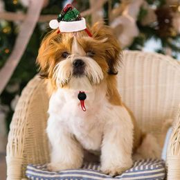 Dog Apparel Decorative Pet Hat Festive Christmas Hats Adorable Accessories For Small Dogs Cats Funny Cute Comfortable Beloved