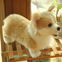 Plush Dolls Lovely Plush Toy Simulation Dog Kids Dolls Corgi Stuffed Pet Soft Animal Toys For Children Girls Birthday Gift Home Decor Mascot 230927