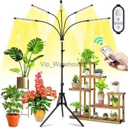 Grow Lights Full Spectrum LED Grow Light DC 5V USB Phyto Lamps Timing Remote Control Tripod Stand Plant Light for Indoor Flower Seedling YQ230927