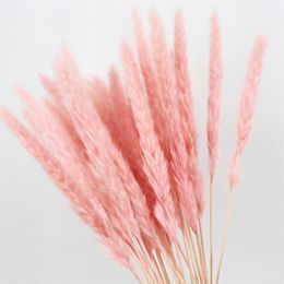 15PCS Natural Dried Small Pampas Grass Phragmites Wedding Flower Bunch 40 To 68 Cm Tall for el Home Decor1203d