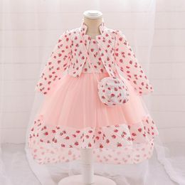 Girl Dresses Girls' Long Sleeve Sweet Flower Two Piece Set Children's Clothing Baby Dress Mesh Birthday Princess