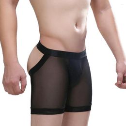 Underpants Men Sissy Underwear Backless Open Crotch Ball Pouch Trunks Transparent Low Rise Boxers Breathable Comfort Thong Erotic Panties