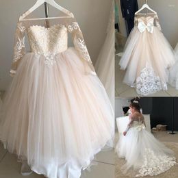 Girl Dresses Long Sleeve Lace Flower Dress For Wedding Party First Communion Gown Child Birthday Princess Bridesmaid