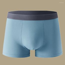 Underpants Men's Boxer Panties Cotton Underwear Men Shorts Boxers Briefs Pants Comfortable Male Boxershorts Plus Size L-5XL