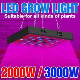 Grow Lights LED Grow Light 2000W 3000W Full Spectrum Greenhouse Phytolamp LED Plant Lamp Quantum Board Indoor Flower Seed Grow Growing Light YQ230927