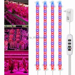 Grow Lights Grow Light Strip with Timer 3/9/12H for Indoor Plant Dimmable LED Phyto Lamp Phytolamps Red and Blue Growing USB Plug Seedling YQ230927