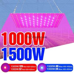 Grow Lights 220V Full Spectrum LED Plant Growth Light 1000W Phytolamps For Seedlings Quantum Board 1500W Fito Lamps Hydroponic Grow Tent Box YQ230926 YQ230926