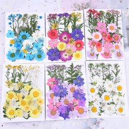 small Dried Flowers Pressed Flowers DIY Preserved Flower Epoxy phone shell dry flower material Embossed face petal makeup329K