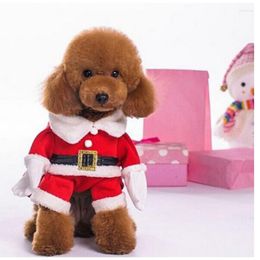 Cat Costumes Pet Transformation Dog Clothes Santa Claus Christmas Standing Up Model
