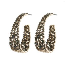 Hoop Earrings Women Girls Vintage Luxury Rhinestone Inset Alloy Crystal Elegant Fashion Jewelry Party Gift Round Shinning