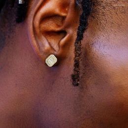 Stud Earrings Fashion Hip Hop Punk Iced Out For Men Women Chic Trendy Gold Colour Shiny Zircon Crystal Earring Ear Jewellery Gift