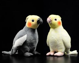 Plush Dolls 18cm Small Real Life Yellow Cockatiel Plush Toys Soft Parrot Stuffed Birds Animal Toy Christmas Gifts For Kids 230927