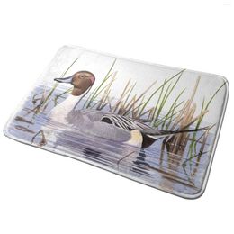 Carpets Northern Pintail Entrance Door Mat Bath Rug Duck Anas Acuta Bird Art Painting Watercolour