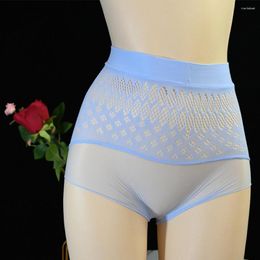 Underpants Sexy Mesh Mens Sissy Panties Low Rise Lace Lingerie Gay Underwear Hollow Out Briefs Temptatio Stretch Brief