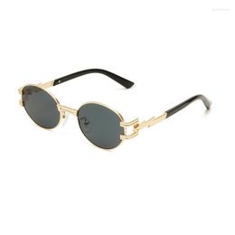 Sunglasses Cute Stylish Oval For Men And Women Thunderbolt Shape Designer Fashion Glasses Unisex Shades