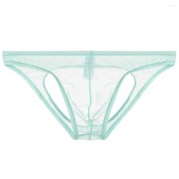 Underpants Hollow Out Mesh Briefs Men Sexy Erotic Panties Thin Transparent Underwear Man Open Crotch See Through Lingerie Sheer