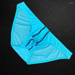 Underpants Ultra-thin Summer Briefs Men Underwears Plus Size Low-waist Stripe Nylon Panty U Pouch Male Panties Europe M-XXL