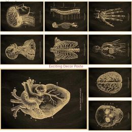 Paintings Anatomical Skeleton Chalkboard Poster Kraft Paper Posters Vintage Home Medicine Student Decor Art Wall Painting 230928