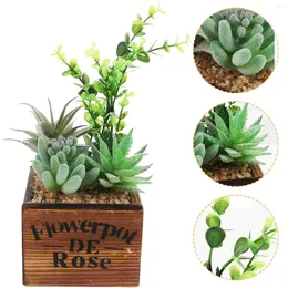 Decorative Flowers Simulated Succulents Small Indoor Plants Mini Artificial Large Live Fake Indoors Ornaments Pe
