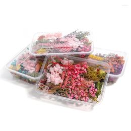 Decorative Flowers 1 Box Dried Flower DIY Accessories Dry Candle Epoxy Resin Pendant Craft Home Wedding Decoration