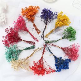 Decorative Flowers Natural Dried Bouquets Fresh Preserved Small Bouquet Dry Press Home Wedding Decor