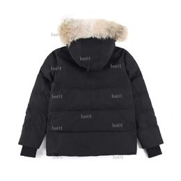 High Quality Mens Down Jacket Goose Coat Real Big Wolf Fur Canadian Wyndham Overcoat Clothing Fashion Style Winter Outerwear Parka373