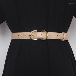 Belts Women's Runway Fashion Double Side Genuine Leather Cummerbunds Female Dress Corsets Waistband Decoration Belt TB2025