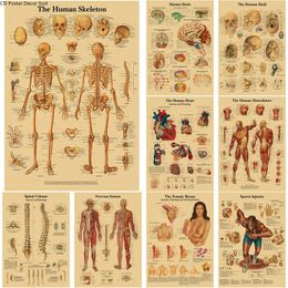 Paintings The Body Structure Retro Poster Anatomy and Physiology Kraft Paper Skeleton Posters Home Room Decor Art Wall Painting 230928