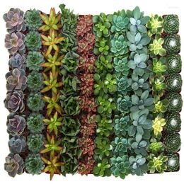 Decorative Flowers Inch Assorted Artificial Succulent Collection (140 ) White For Decor Wedding Resin Moulds Vase Mini F