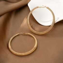 Hoop Earrings Fashion Spiral Carbon Steel Earring For Women Punk Gold Plated Simple Spring Jewelry