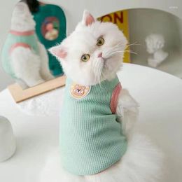 Cat Costumes Pet Clothes Kitten Puppy Cute Vest Sphinx Small And Medium-sized Dog Sweet Pullover Yorkshire Poodle Shirt