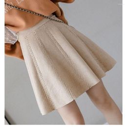 Skirts 2023 Spring Light Luxury Fashion Thickened Knitted Short Skirt Loose All-match Boutique Clothing Simple Style