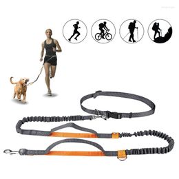 Dog Collars 1PC Adjustable Hands Cat Free Running Walking Jogging Pet Lead Leash Waist Belt Chest Strap Gift Traction Rope Pets Supplies