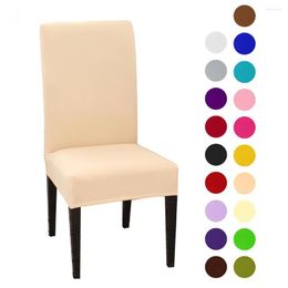 Chair Covers 10pcs Solid Color Spandex Desk Seat Protector Slipcovers For El Banquet Wedding Universal Size