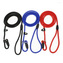 Dog Collars 120CM Nylon Training Rope Adjustable Slip Collar Outdoor P Chain Leads Supplies Medium Large Walking Leashes