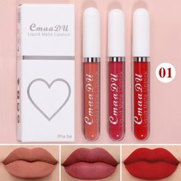 Lip Gloss Fashion Colour Matte Velvet Waterproof Long Lasting Lipstick Set 3PCS