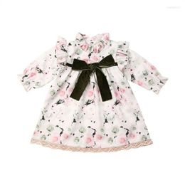 Girl Dresses 6M-4Years Toddler Born Baby Kid Flower Dress Lace Bow Princess Tutu Party Wedding Birthday Long Sleeve Costumes