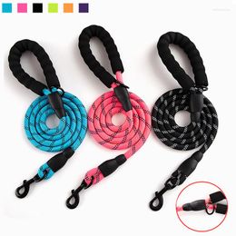 Dog Collars Round Rope Pet Nylon Training Traction Supplies Walking Safety Collar Cat Suitable For Outdoor 1.2cmx150cm