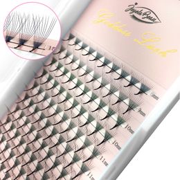 Makeup Tools Premade Volume Fans 3D 4D 5D 6D 10D MIX Individual Lashes Extension Pre Made Russian Volume Fan Eyelash Extension Faux Mink 221231