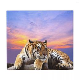 Table Mats Dish Drying Mat For Kitchen Drainer Tiger With Sky At Sunset Time Microfiber Cushion Pad Dinnerware