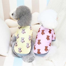 Dog Apparel Wholesale Autumn Winter Pet Clothes Teddy Letter Bear Two-legged Hoodies Drop Cat