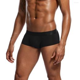 Underpants Men Solid Colour Briefs Underwear Boxer Shorts Pouch Ultra-thin Wholesale Sexy Male #3